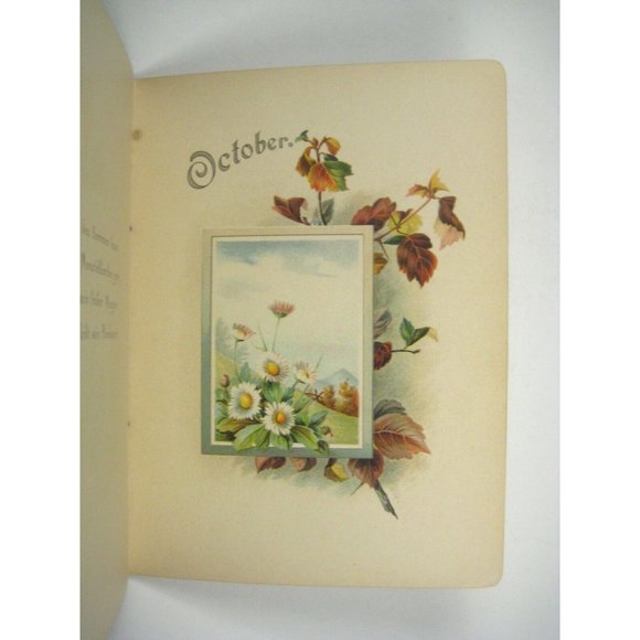 Sunday School German Calendar Book Geschenk Sonntagsschule Floral Druck Verlag - Picture 7 of 8